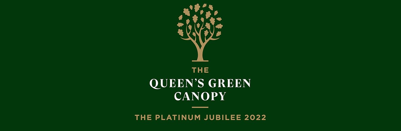 the-queens-green-canopy-b